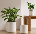 Set of 3 (10"+8"+6") Plant Pots with Drainage Hole & Plug for Indoor & Patio Decor, White Indoor Plant Pots