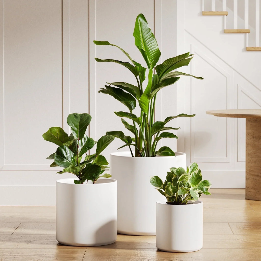 Set of 3 (10"+8"+6") Plant Pots with Drainage Hole & Plug for Indoor & Patio Decor, White Indoor Plant Pots